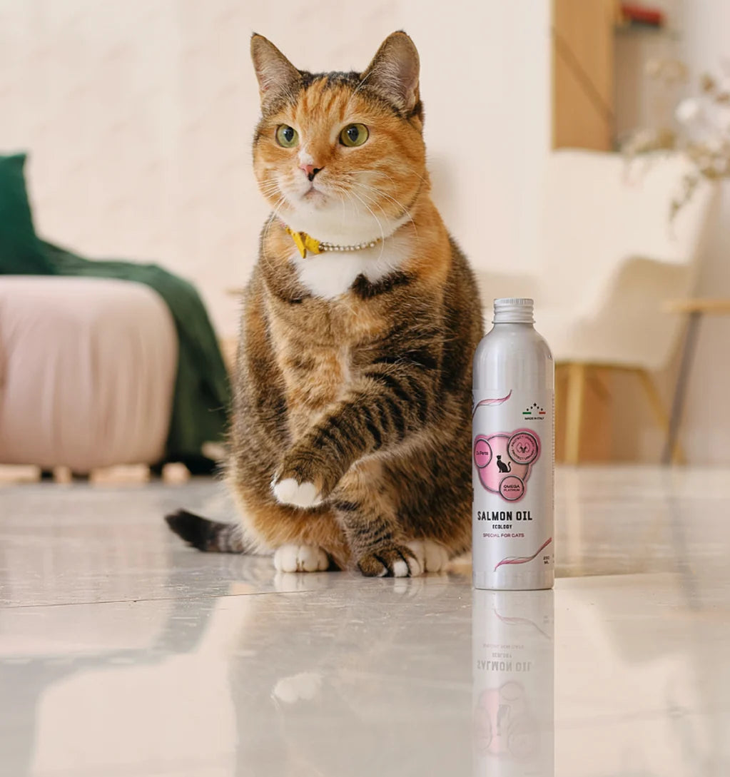 Pour Cat