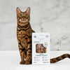 Truthahnstreifen für Katzen, 30g