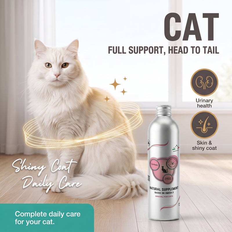 Natürliches Nahrungsergänzungsmittel auf Omega-3-Basis für Katzen