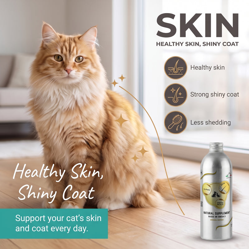 Natur Ergänzung basierend auf Omega-3 HAUT für Katzen