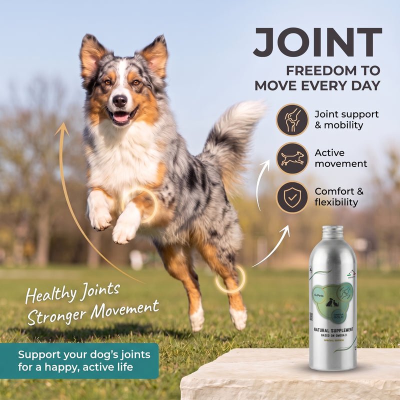Natürliches Ergänzungsfuttermittel auf Omega-3-Basis JOINT Für Hunde