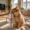Natural Supplement Based on Omega-3 for Cats