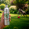 Natural Supplement Based on Omega-3 JOINT For Dog