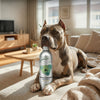 Natural Supplement Based on Omega-3 JOINT For Dog