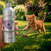 Natural Supplement Based on Omega-3 for Kitten
