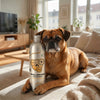 Natural Supplement Based on Omega-3 for Senior 7+ Dog